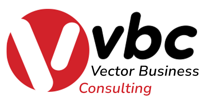 VBC Vector Business Consulting: offering federal, state, local government contract help, assistance, consulting